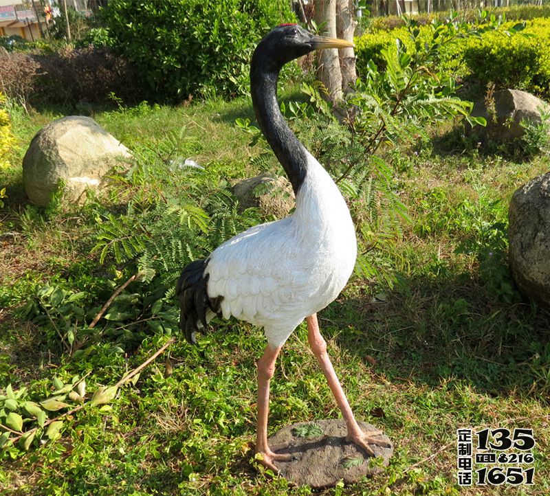 戶外玻璃鋼彩繪仿真動(dòng)物公園景觀仙鶴雕塑 戶外玻璃鋼彩繪仿真動(dòng)物公園景觀仙鶴雕塑