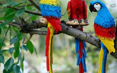 森林樹(shù)枝上的玻璃鋼彩繪仿真鸚鵡雕塑