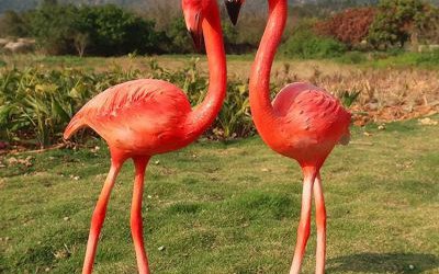 海邊擺放兩只站立的玻璃鋼火烈鳥(niǎo)雕塑